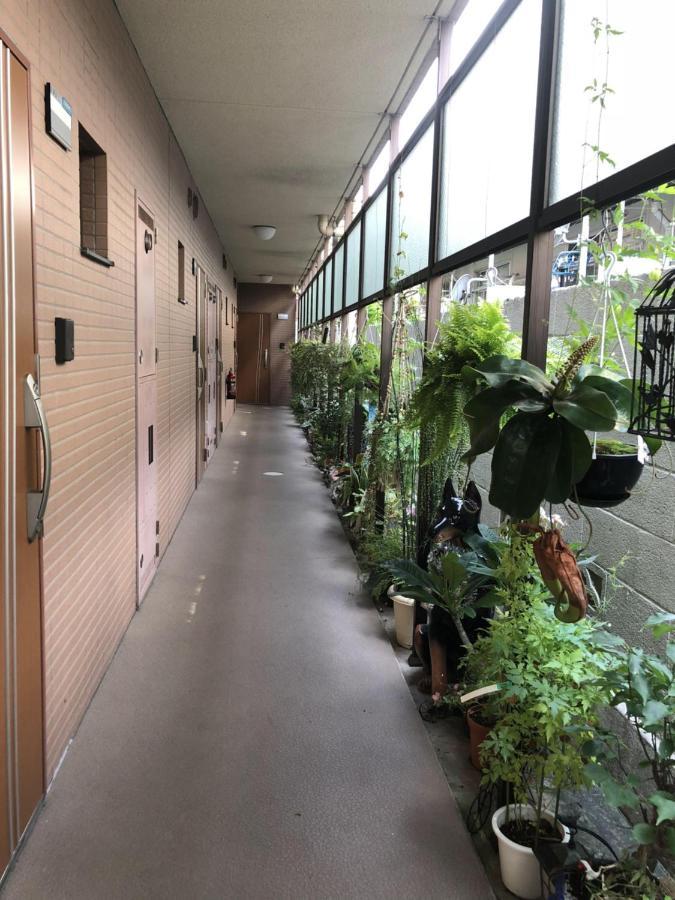 都心の家30 Square Meter King Size Bed With Stepping Rice Tokyo Exterior photo